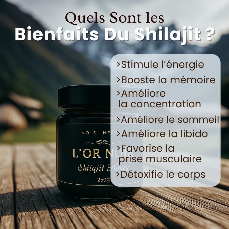 Miel de l'Altaï au Shilajit