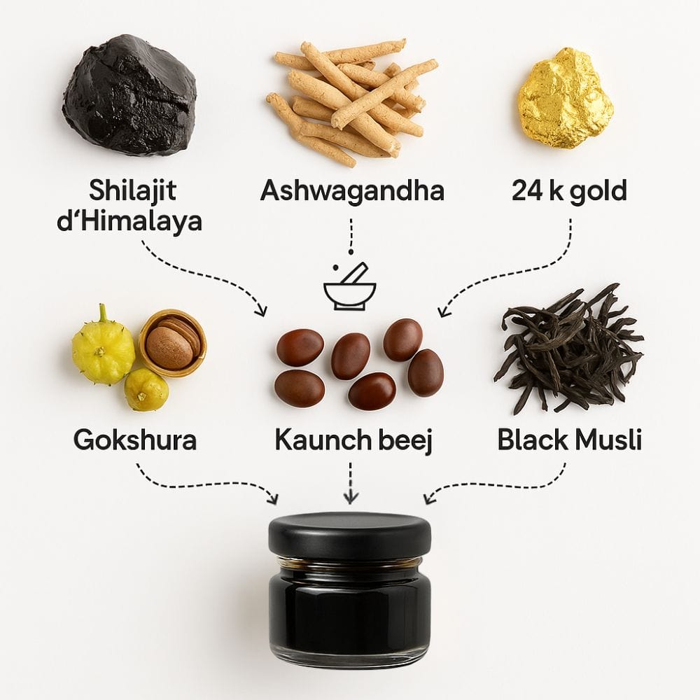 Résine de Shilajit Himalaya GOLD