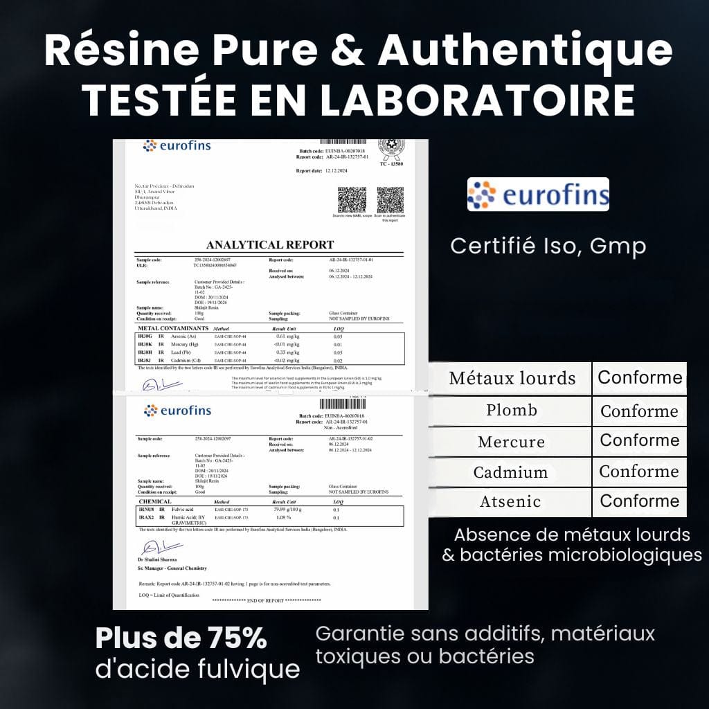 Résine de Shilajit Premium d'Himalaya