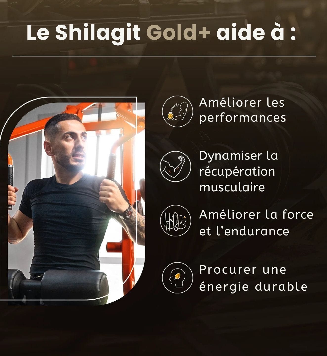 Résine de Shilajit Himalaya GOLD
