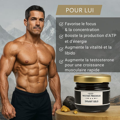 Résine de Shilajit Himalaya GOLD