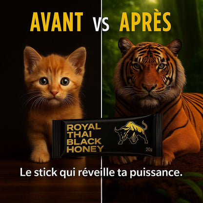 Miel Noir Royal Thaï (Boite de 10)