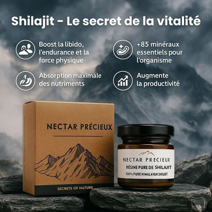 Résine de Shilajit Premium d'Himalaya